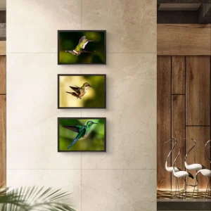 Conjunto de Quadros - Beija-flores (s/moldura)