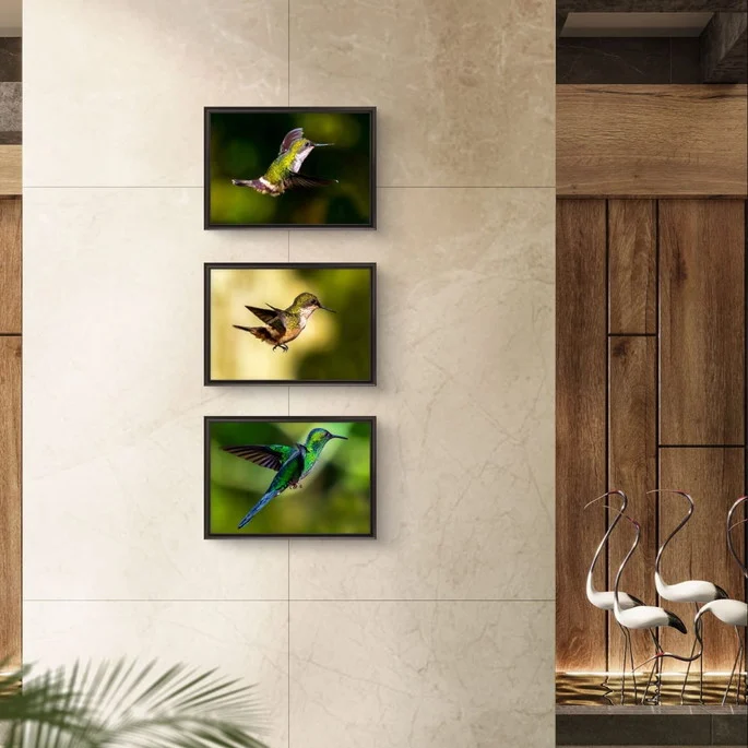 Conjunto de Quadros - Beija-flores (s/moldura)