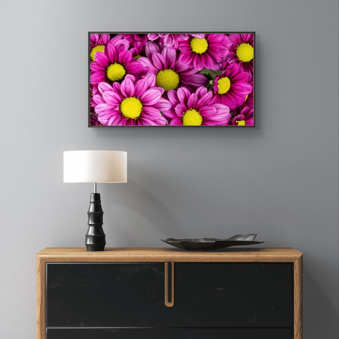 Quadro Fine Art - Margaridas Rosas